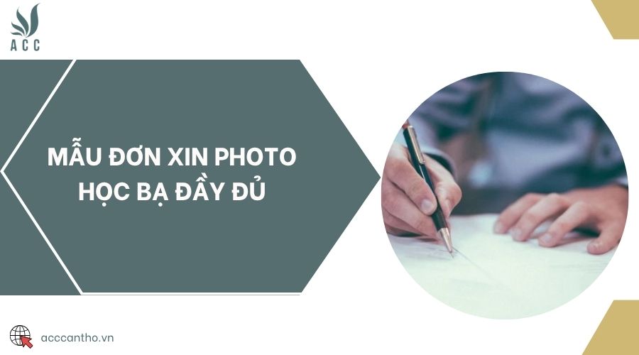Mẫu đơn xin photo học bạ đầy đủ