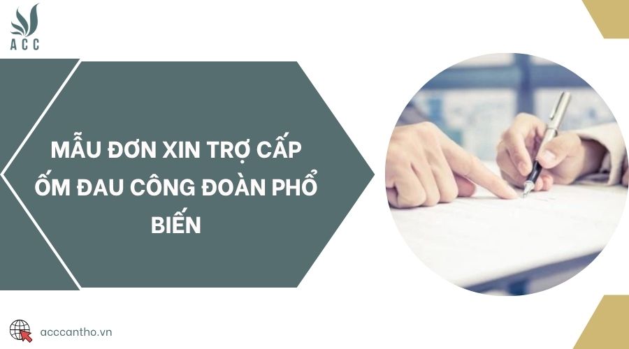 Mẫu đơn xin trợ cấp ốm đau Công đoàn phổ biến