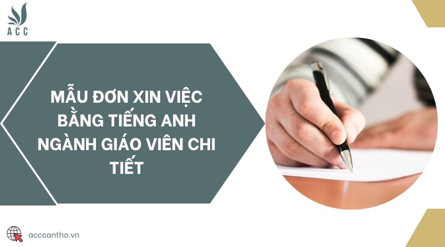 Mẫu đơn xin việc bằng tiếng Anh ngành giáo viên chi tiết