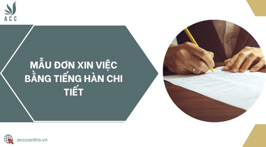 Mẫu đơn xin việc bằng tiếng Hàn chi tiết