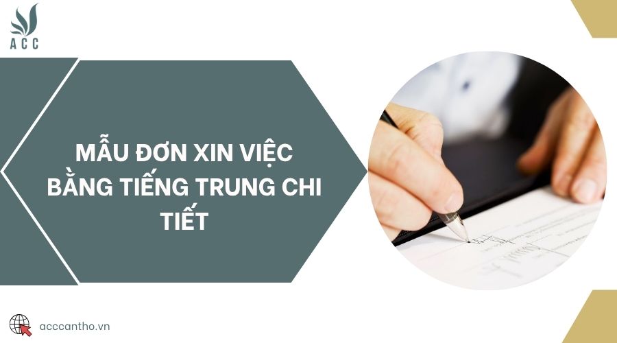 Mẫu đơn xin việc bằng tiếng Trung chi tiết