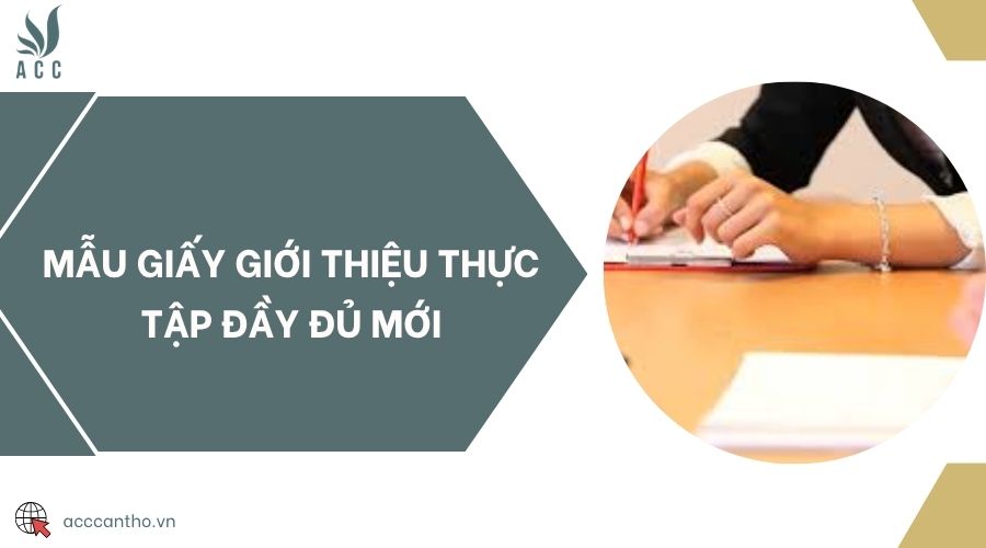 Mẫu giấy giới thiệu thực tập đầy đủ mới
