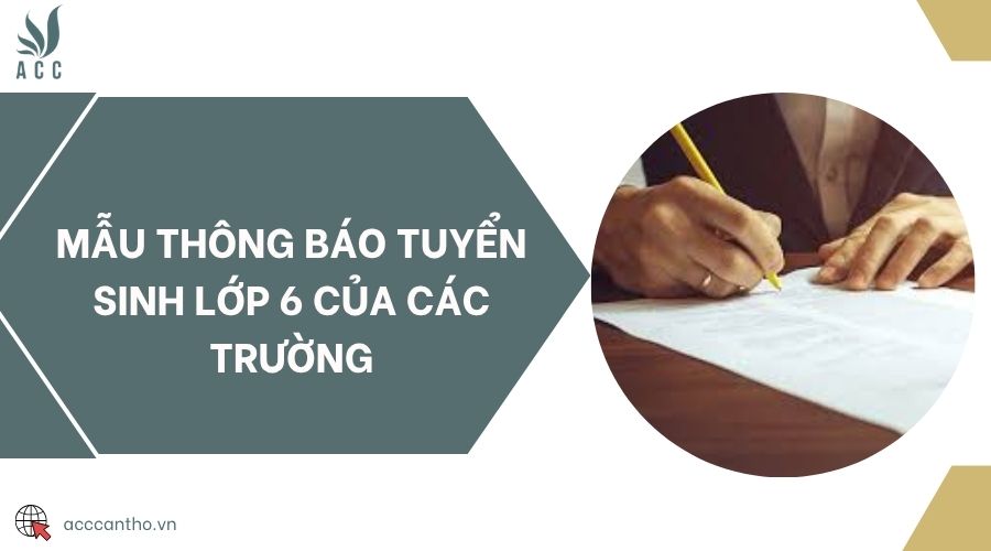Mẫu thông báo tuyển sinh lớp 6 của các trường