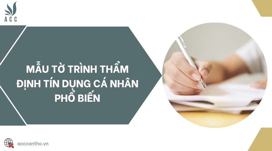 Mẫu tờ trình thẩm định tín dụng cá nhân phổ biến