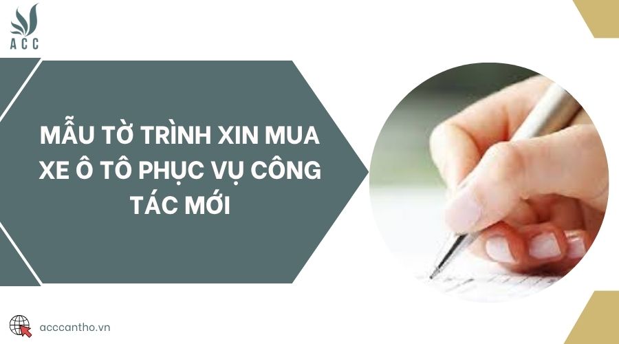 Mẫu tờ trình xin mua xe ô tô phục vụ công tác mới