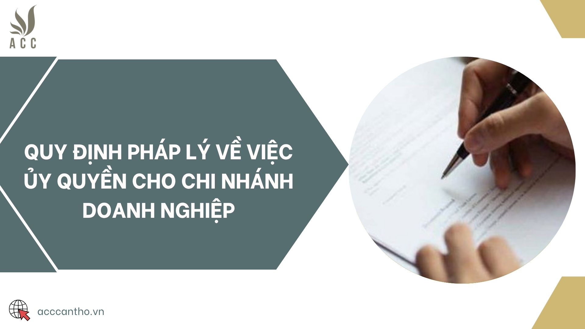 Quy định pháp lý về việc ủy quyền cho chi nhánh doanh nghiệp