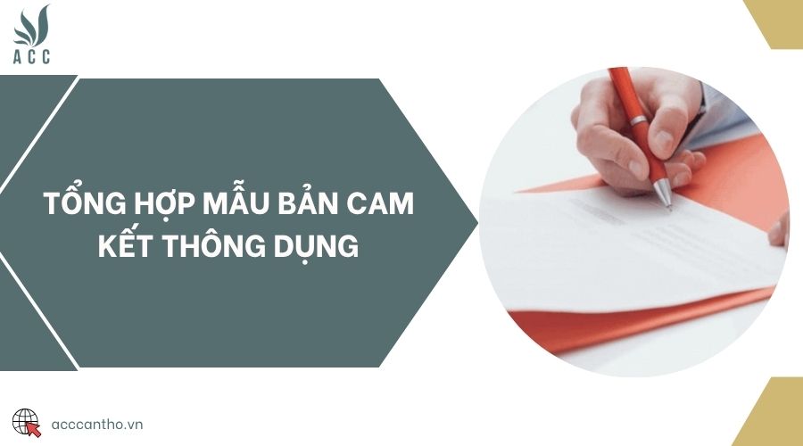 Tổng hợp mẫu bản cam kết thông dụng