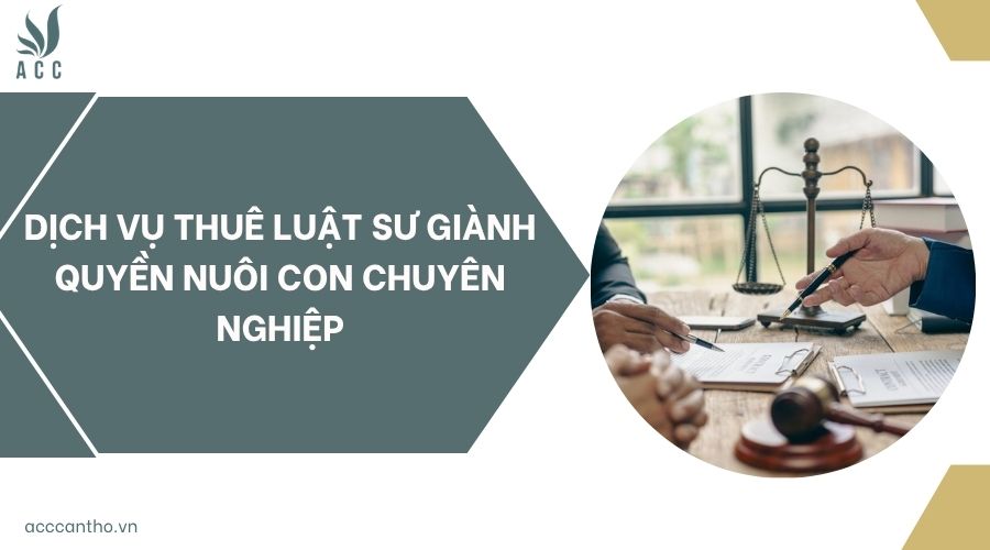 Dịch vụ thuê luật sư giành quyền nuôi con chuyên nghiệp