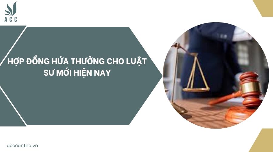 Hợp đồng hứa thưởng cho luật sư mới hiện nay