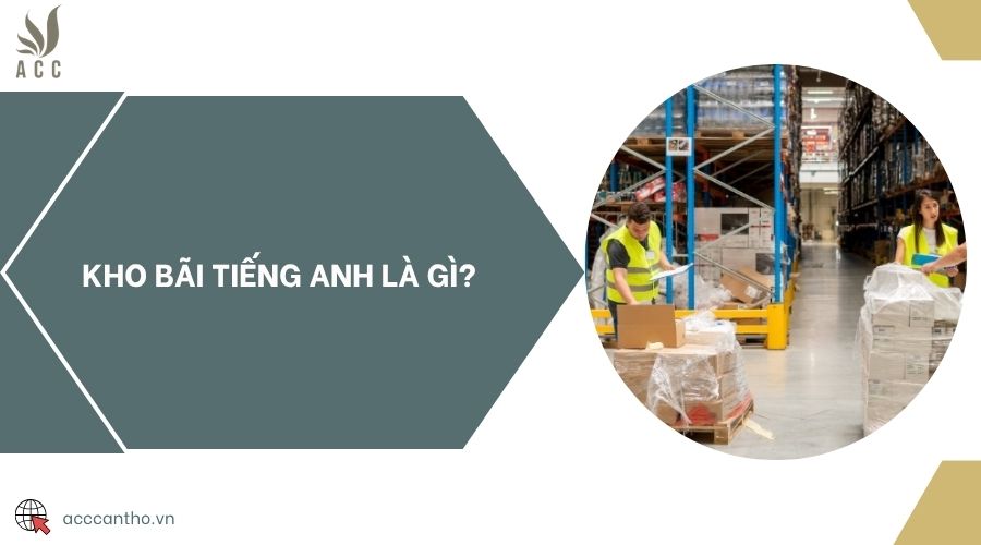 Kho bãi tiếng Anh là gì?