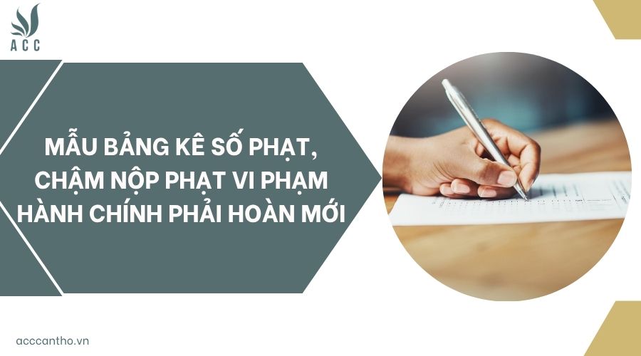 Mẫu bảng kê số phạt, chậm nộp phạt vi phạm hành chính phải hoàn mới