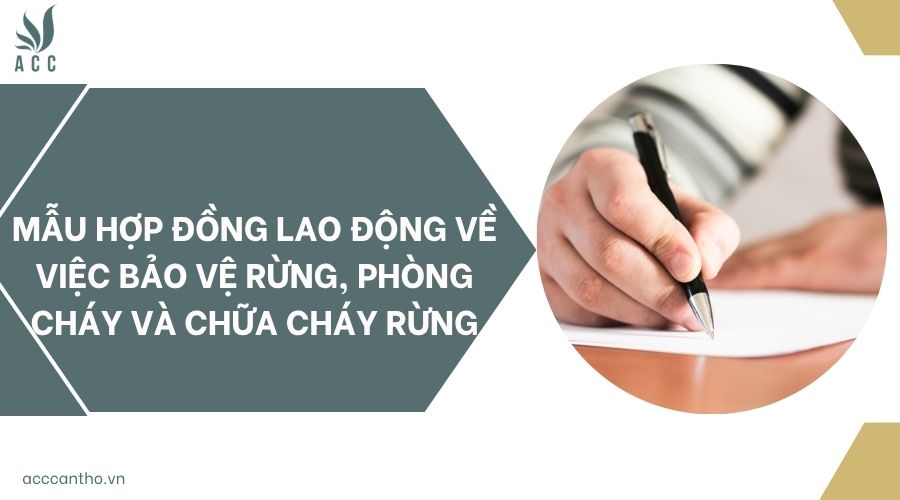 Mẫu hợp đồng lao động về việc bảo vệ rừng, phòng cháy và chữa cháy rừng