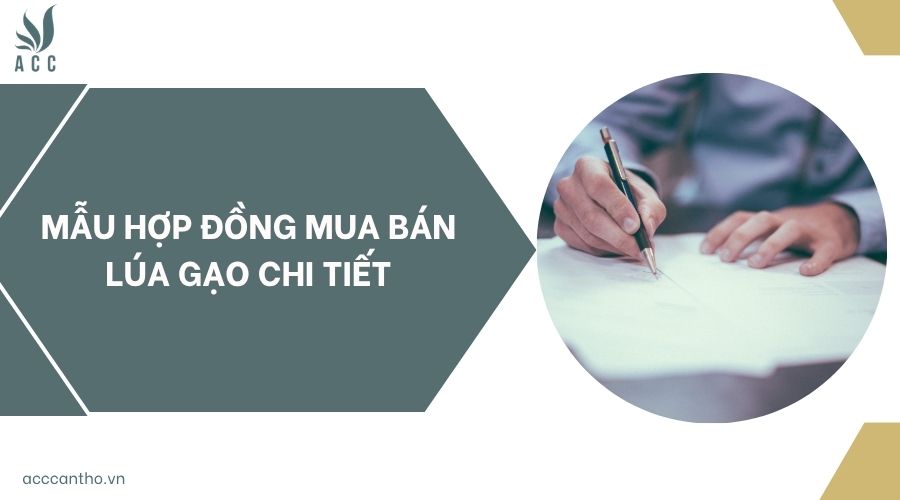 Mẫu hợp đồng mua bán lúa gạo chi tiết