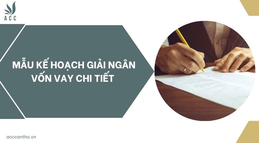Mẫu kế hoạch giải ngân vốn vay chi tiết