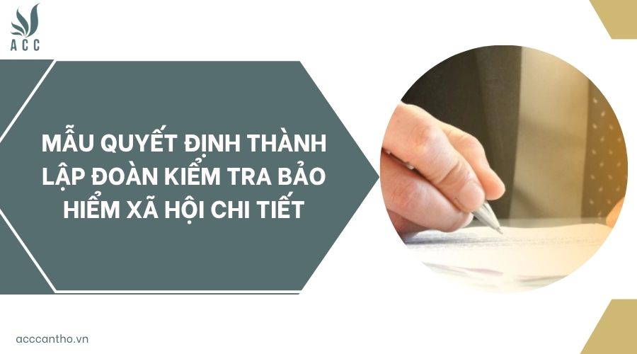 Mẫu quyết định thành lập đoàn kiểm tra bảo hiểm xã hội chi tiết