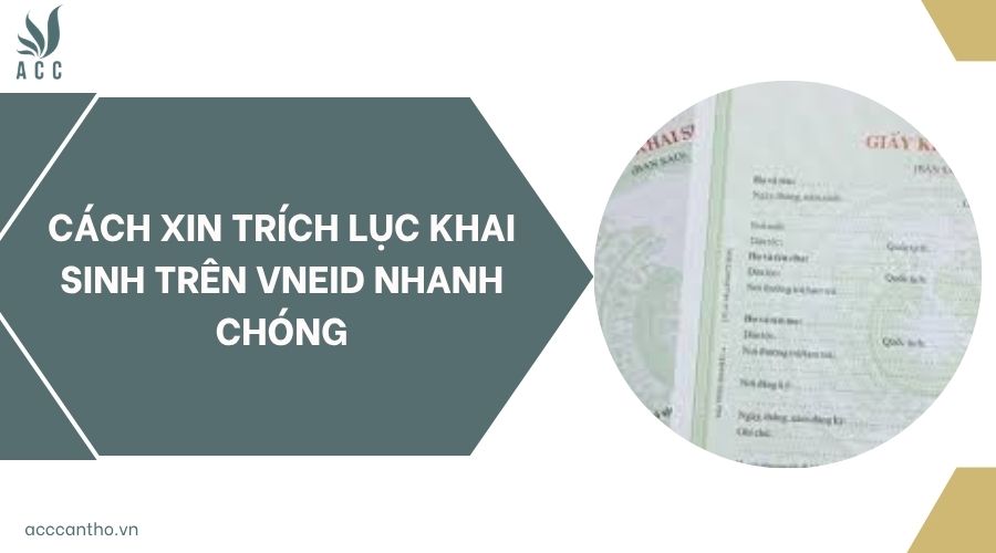 Cách xin trích lục khai sinh trên VNeID nhanh chóng