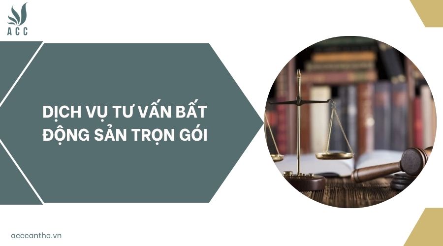 Dịch vụ tư vấn bất động sản​