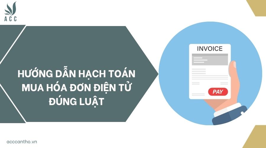 Hướng dẫn hạch toán mua hóa đơn điện tử đúng luật