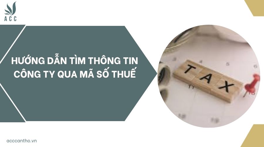 Hướng dẫn tìm thông tin công ty qua mã số thuế