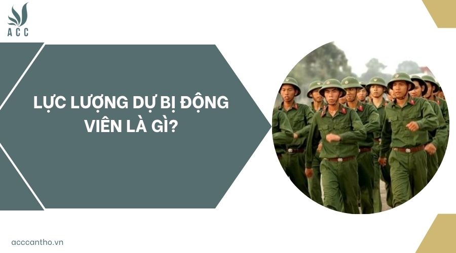 Lực lượng dự bị động viên là gì?