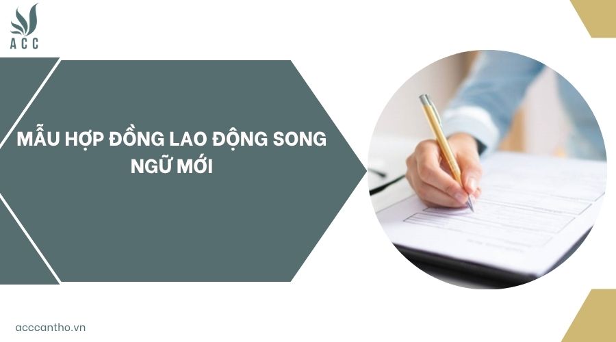 Mẫu hợp đồng lao động song ngữ mới