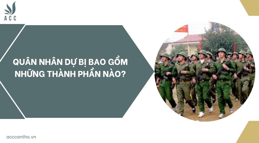 Quân nhân dự bị bao gồm những thành phần nào?