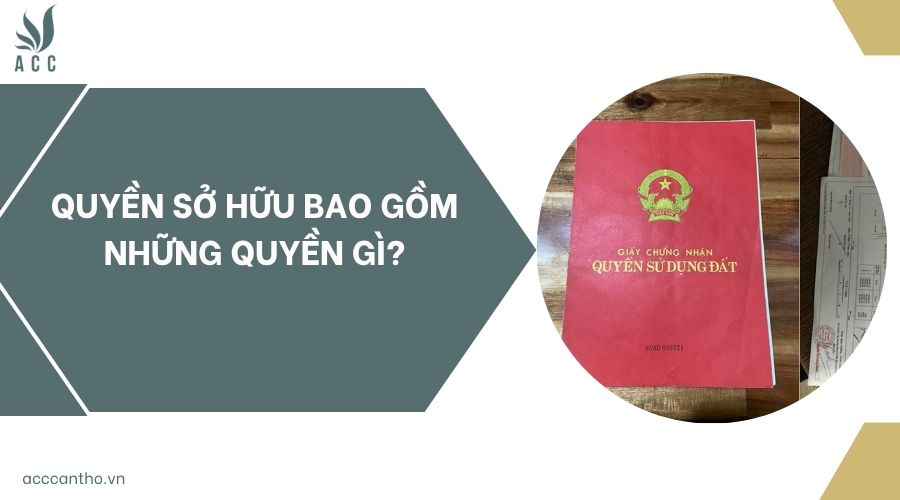 Quyền sở hữu bao gồm những quyền gì?
