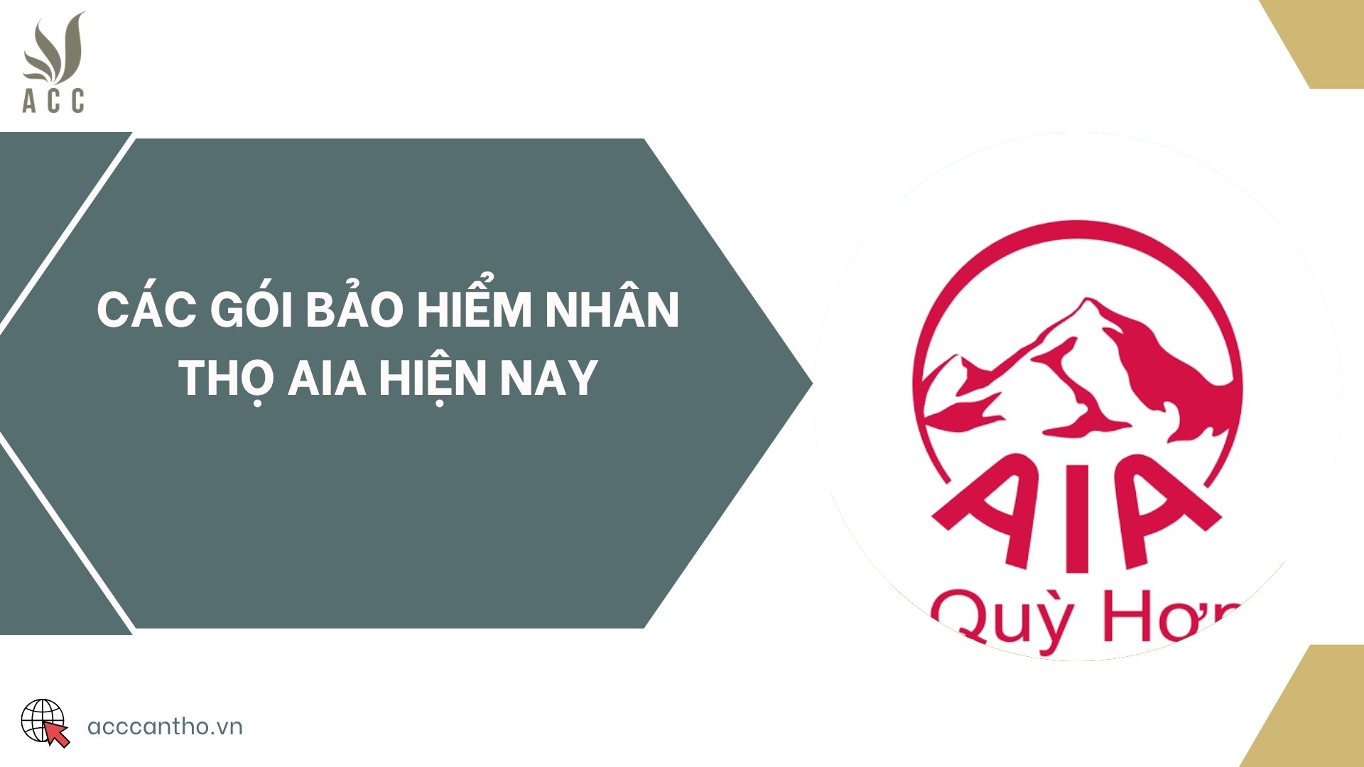 Các gói bảo hiểm nhân thọ AIA hiện nay