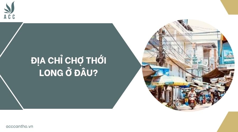 Địa chỉ chợ Thới Long ở đâu?