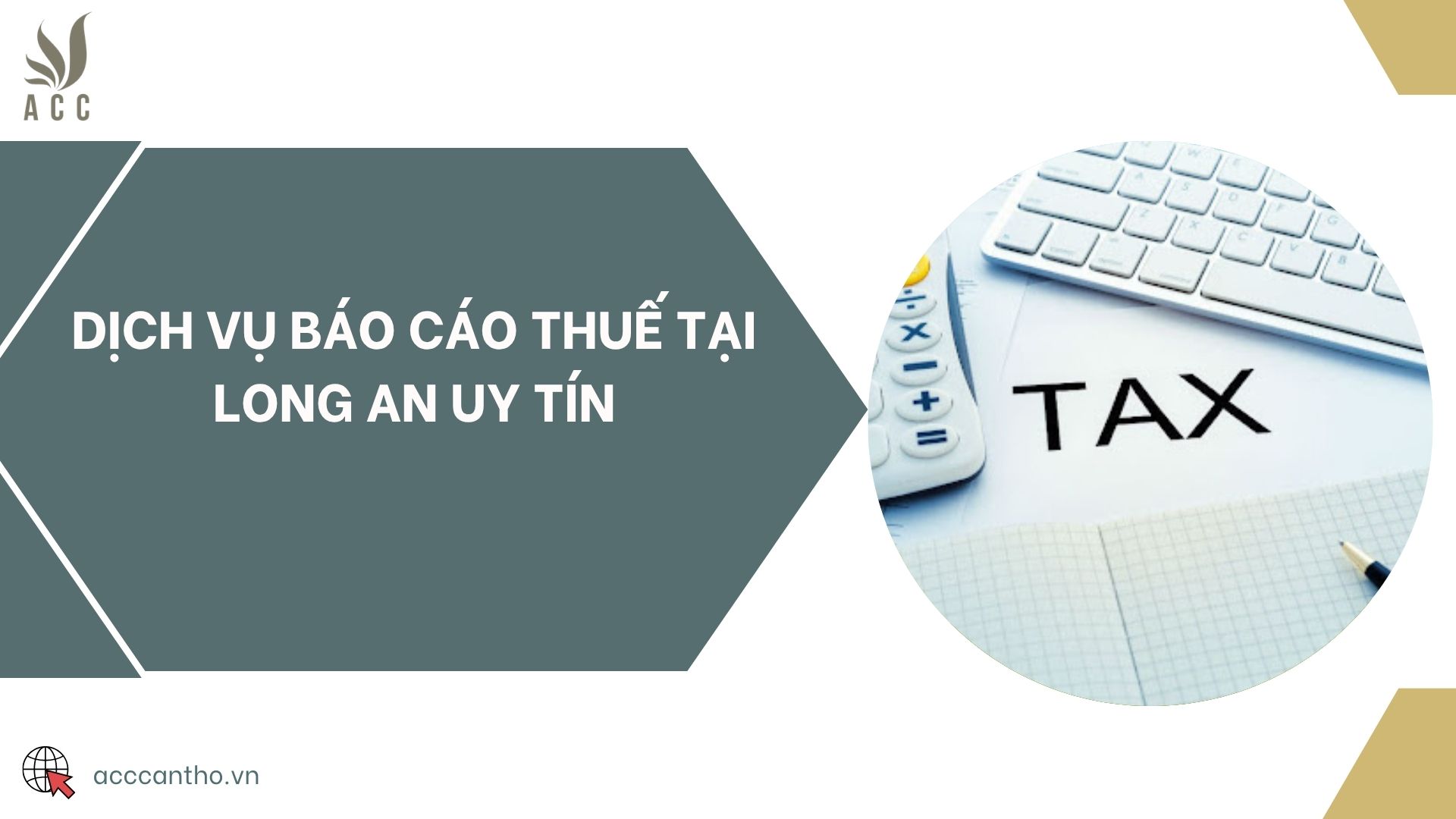 Dịch vụ báo cáo thuế tại Long An uy tín