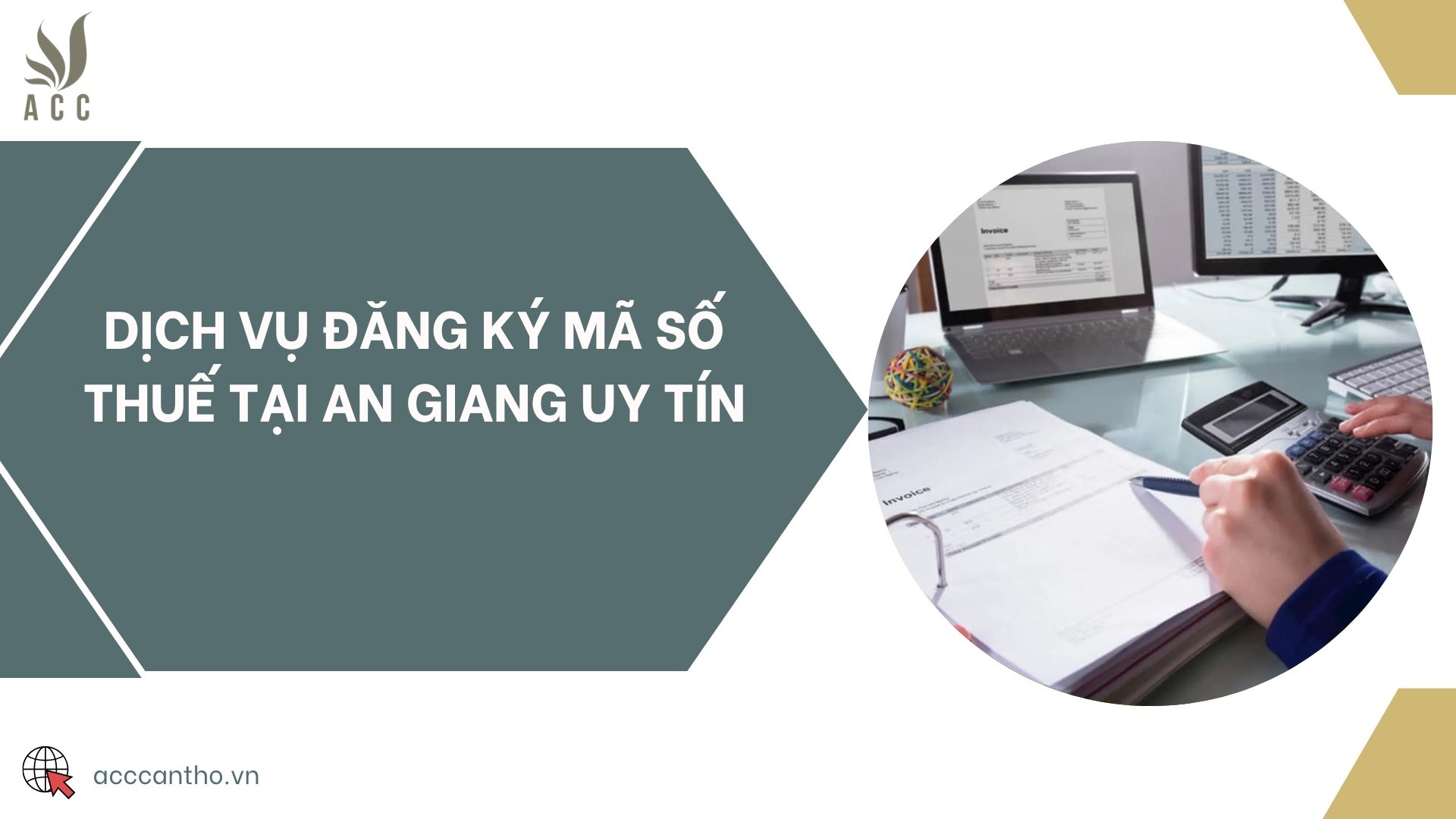 Dịch vụ đăng ký mã số thuế tại An Giang uy tín