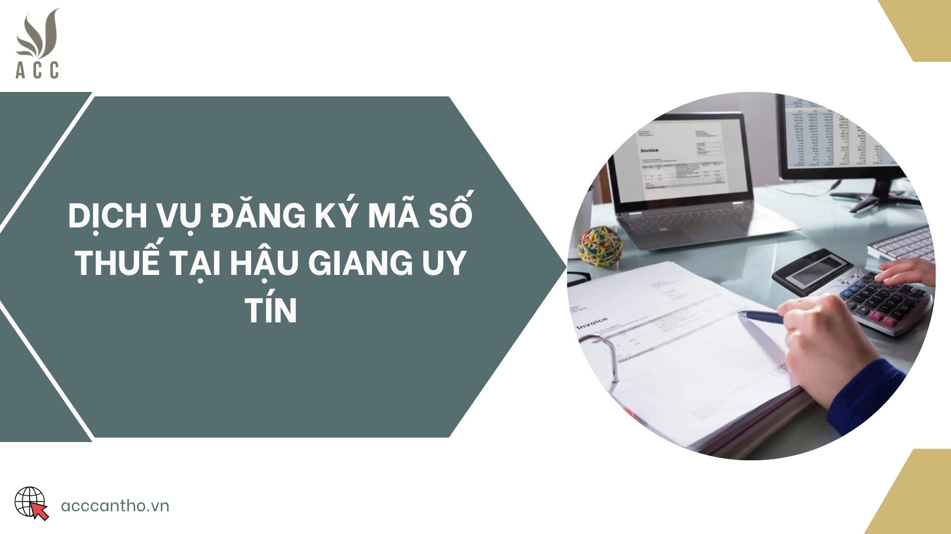 Dịch vụ đăng ký mã số thuế tại Hậu Giang uy tín