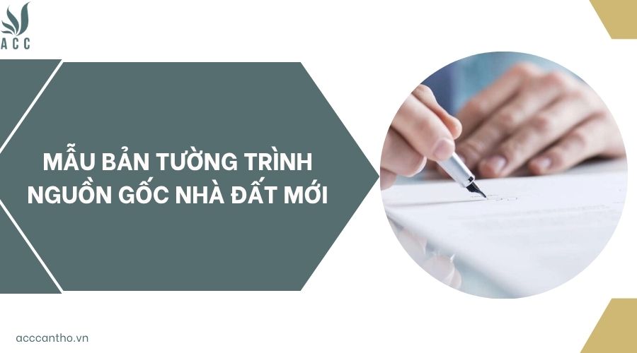 Mẫu bản tường trình nguồn gốc nhà đất mới