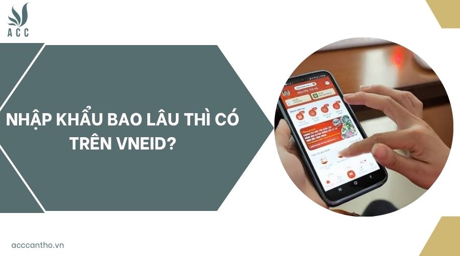 Nhập khẩu bao lâu thì có trên VNeID?