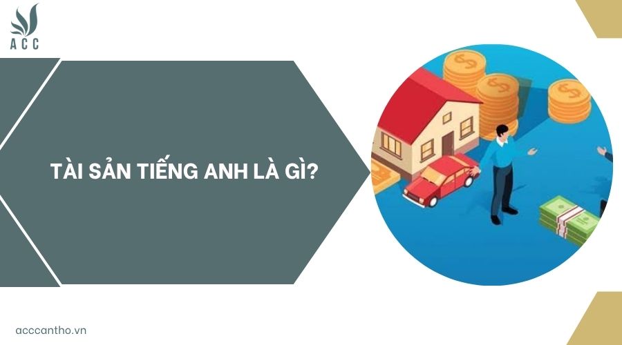 Tài sản tiếng Anh là gì?