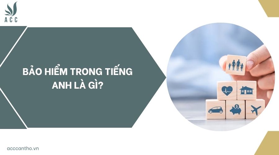 Bảo hiểm trong tiếng Anh là gì?
