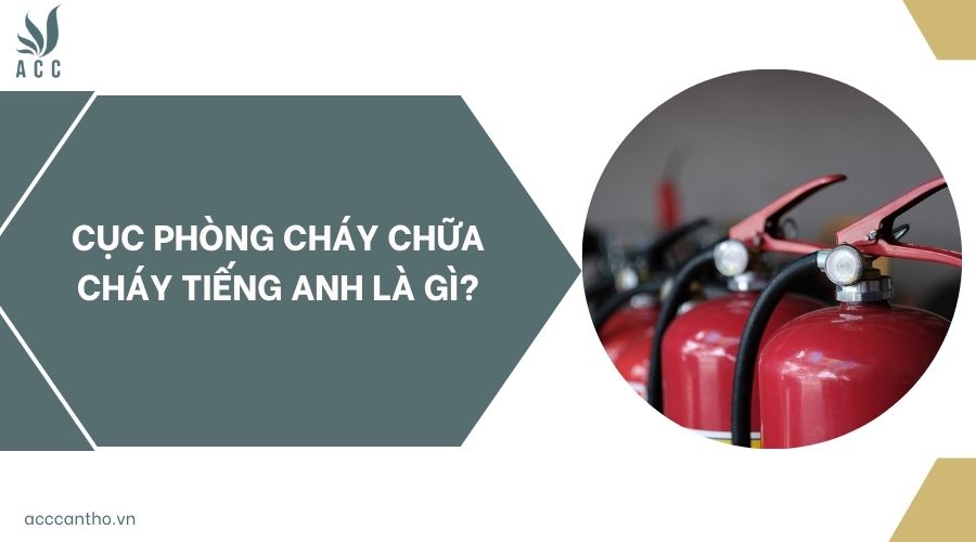 Cục Phòng cháy chữa cháy tiếng Anh là gì?