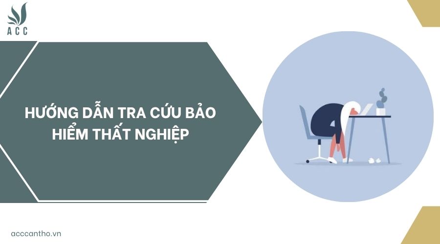 Hướng dẫn tra cứu bảo hiểm thất nghiệp