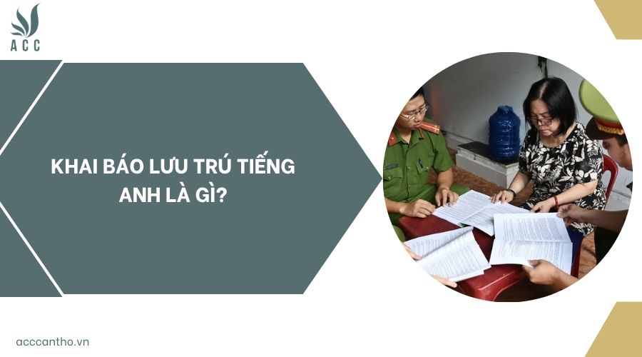 Khai báo lưu trú tiếng Anh là gì?