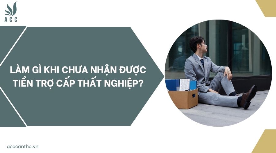 Làm gì khi chưa nhận được tiền trợ cấp thất nghiệp?