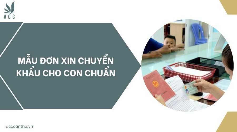 Mẫu đơn xin chuyển khẩu cho con chuẩn